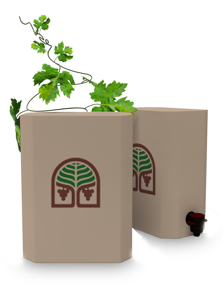 bag_in_box
