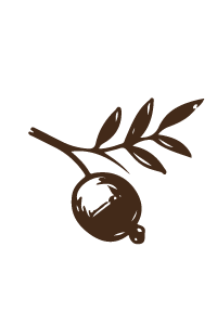 producto_Mesa de trabajo 1 copia 3